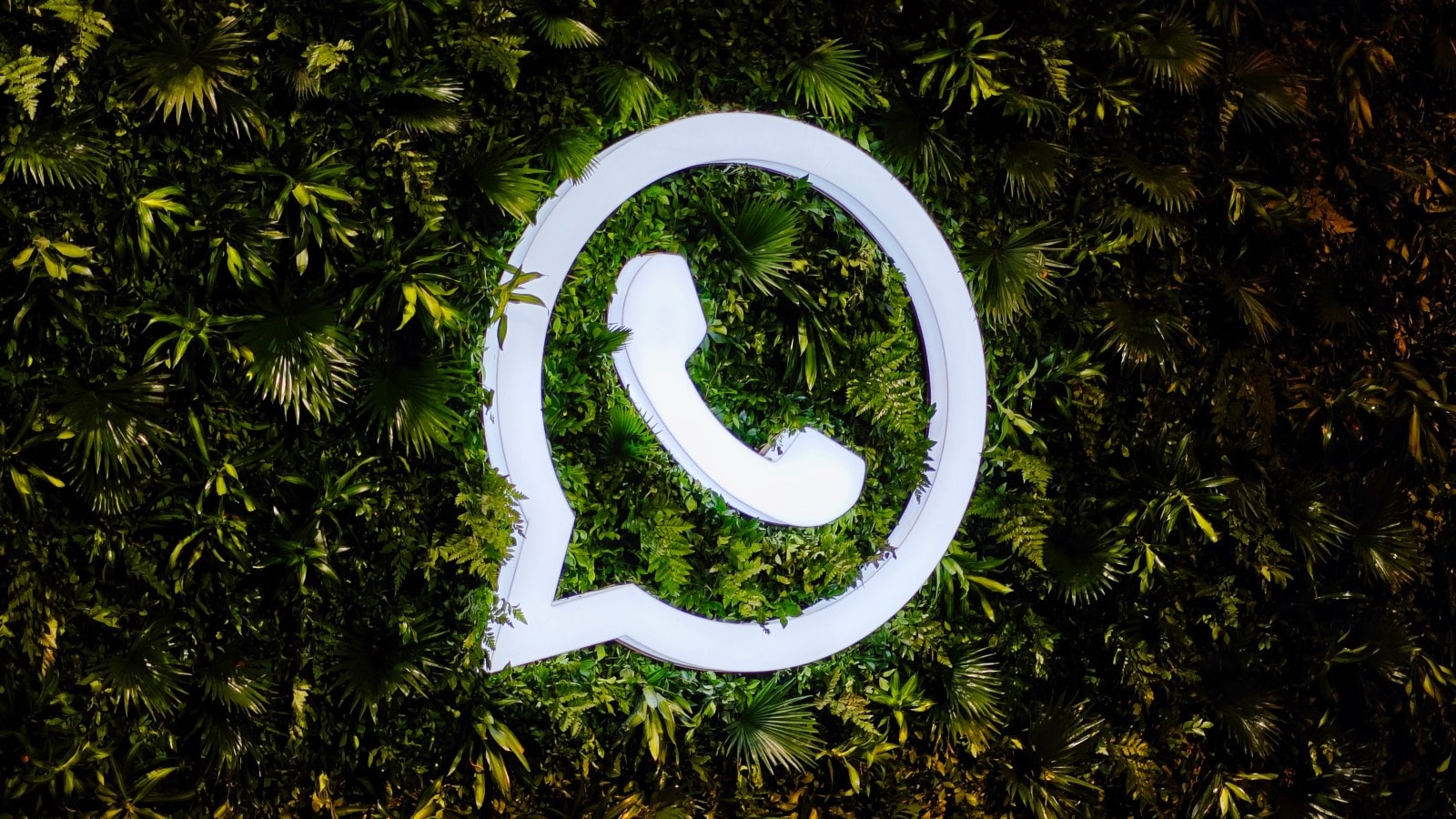 The Rise and Opportunities of WhatsApp in Business